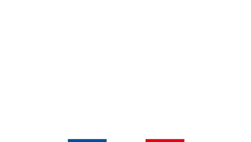 logo plaine et papilles